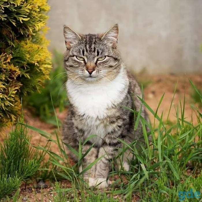 Маруся, фотография 4