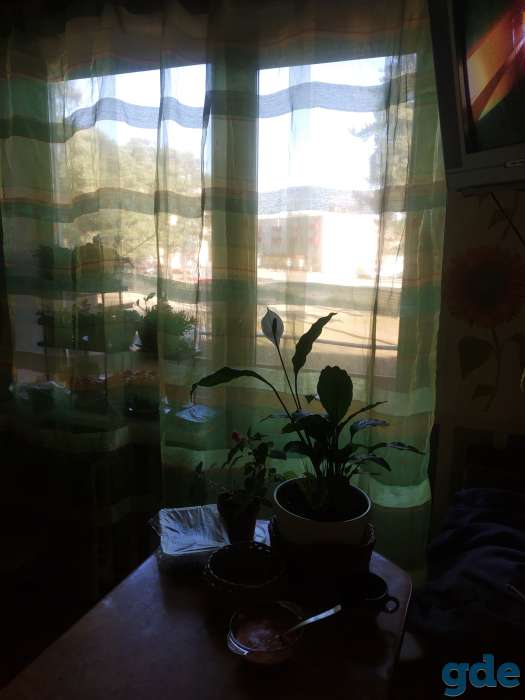 Продать квартиру, Космонавтов 16, фотография 1