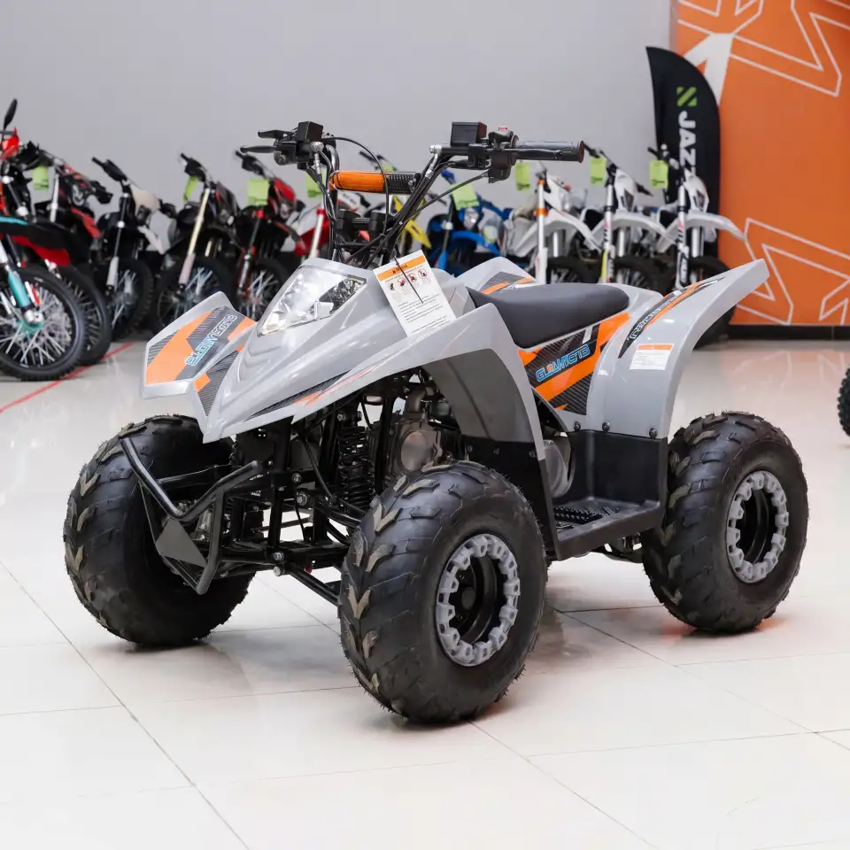Квадроцикл Regulmoto SK11 (к-т з/ч), фотография 4
