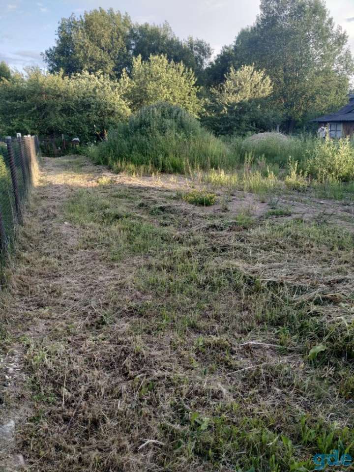 Срочно продам дачу, Д.Мощеново, фотография 6