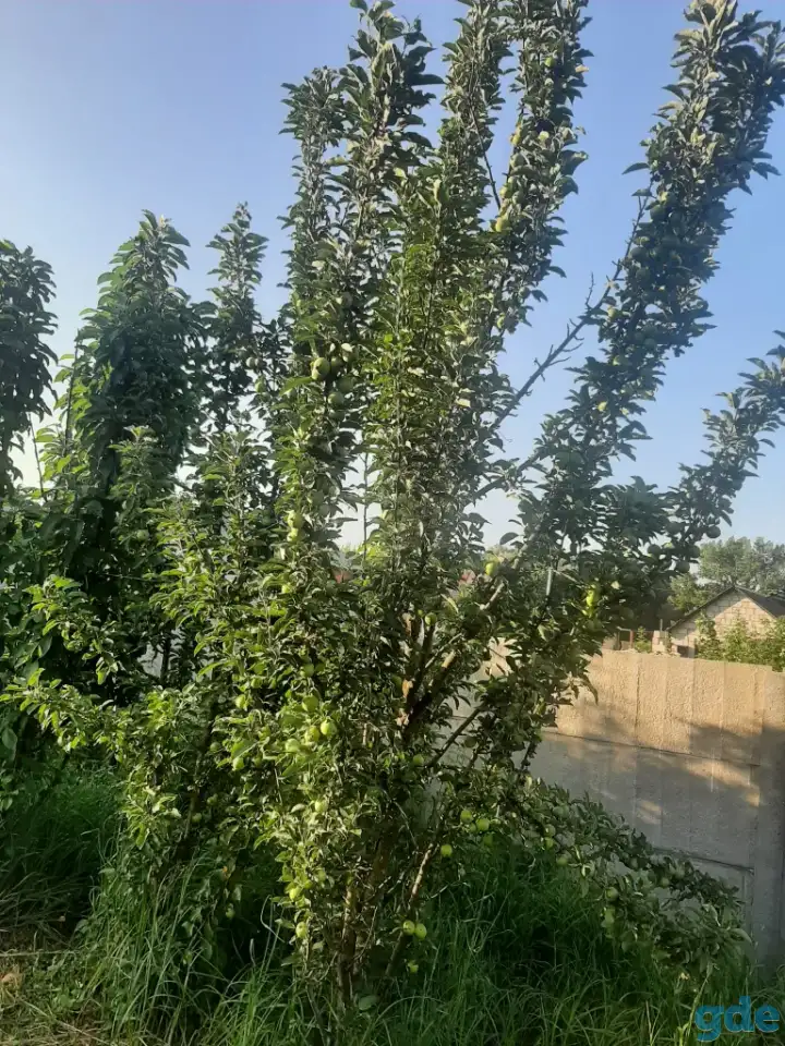 Продажа, фотография 7