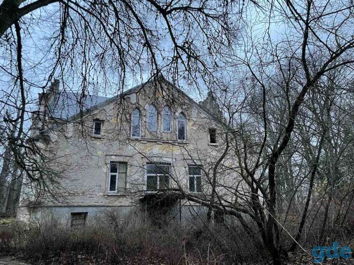 Продается Дворцово-парковый ансамбль: дворец, конюшня в дер. Павлиново., фотография 5