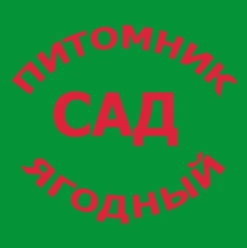 Купить САЖЕНЦЫ КЛУБНИКИ -50 сортов - в Минске  с питомника, фотография 18