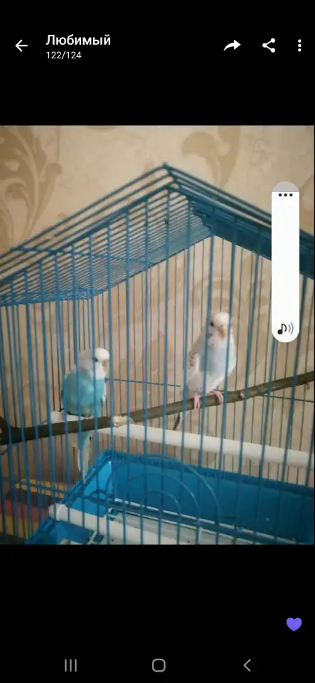 Продам, фотография 3