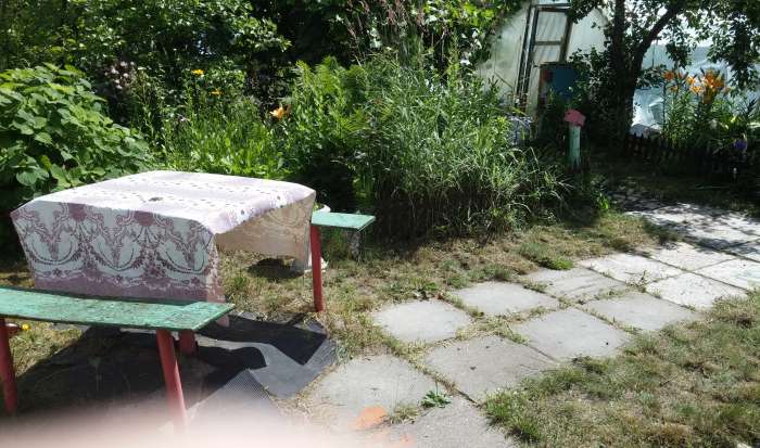 продам дачу, Пуховичский район, д. Барки, фотография 4