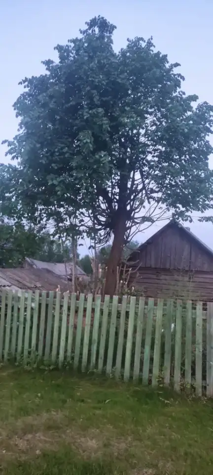 продается дом для любителей природы и охоты, фотография 1