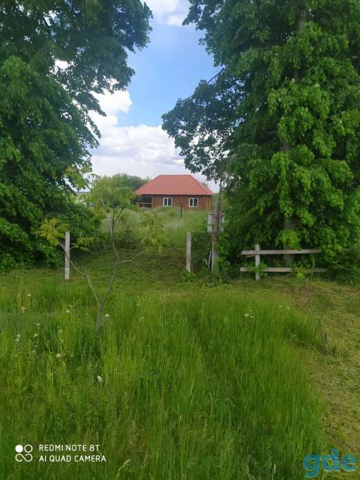 Продам дачу на берегу днепра, деревня Казимировка, Страдубский сельсовет, Лоевский район, область, фотография 1