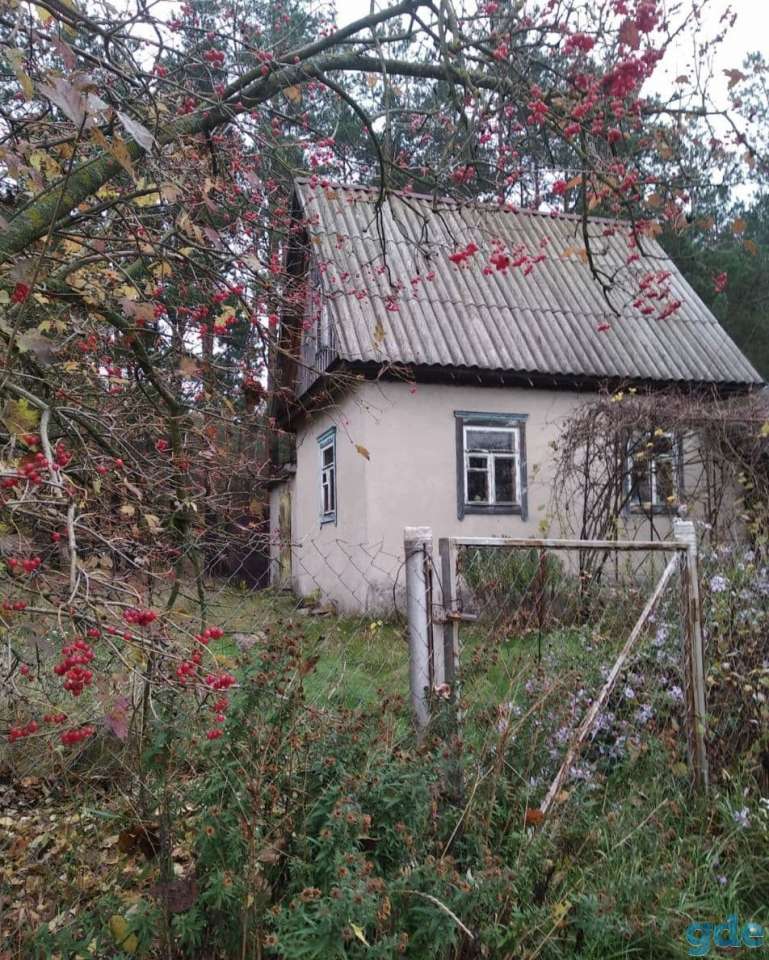 Продается дача в д.Боровики, фотография 2