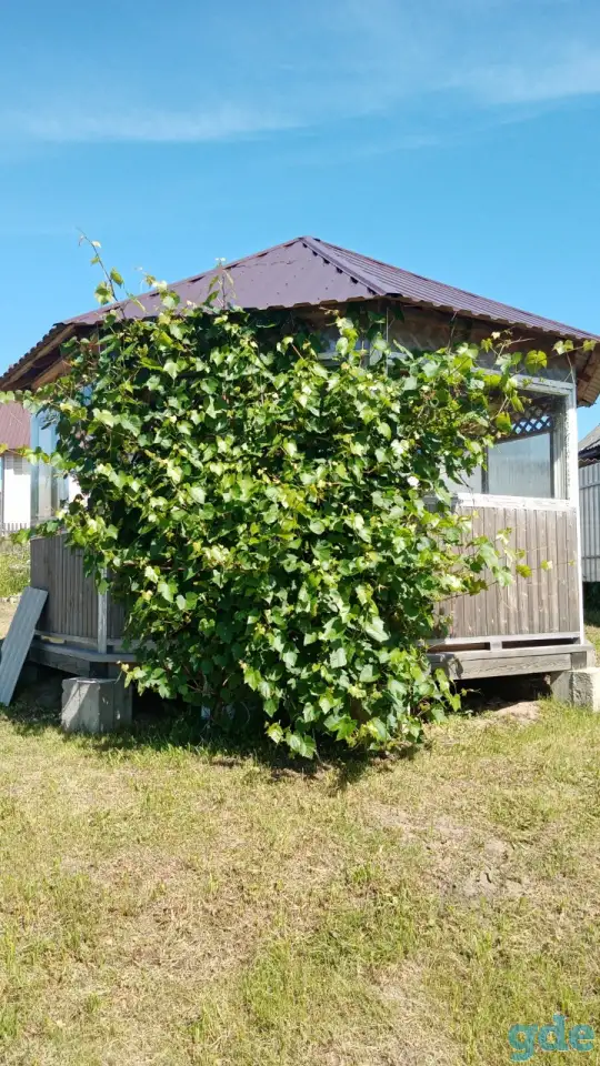 Продажа дома, Д. рябцево, фотография 6