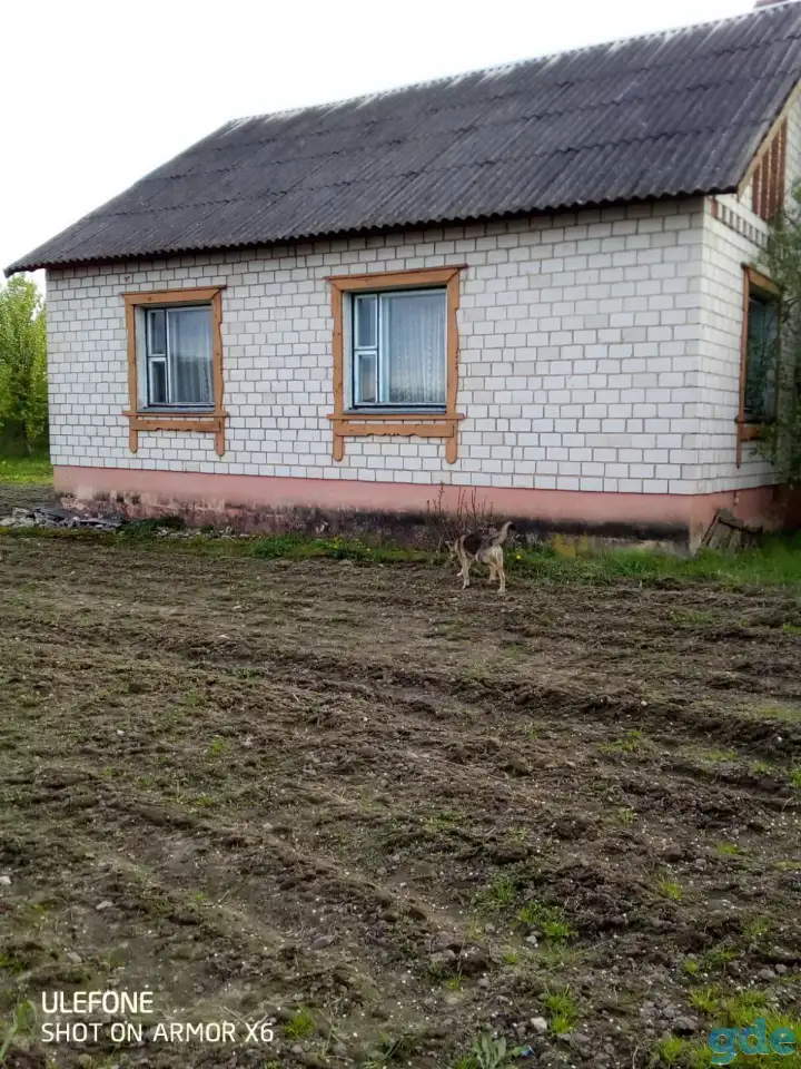 Дом для круглогодичного проживания, Могилёвская область, Глусский район, д. Калюга, ул. Центральная, дом 24, фотография 5