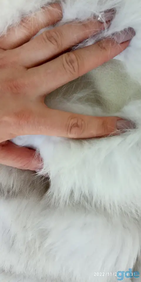 Шуба, фотография 2
