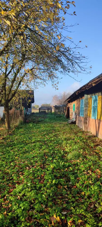 Продам дом, Деревня Лешня района Минская область, фотография 2