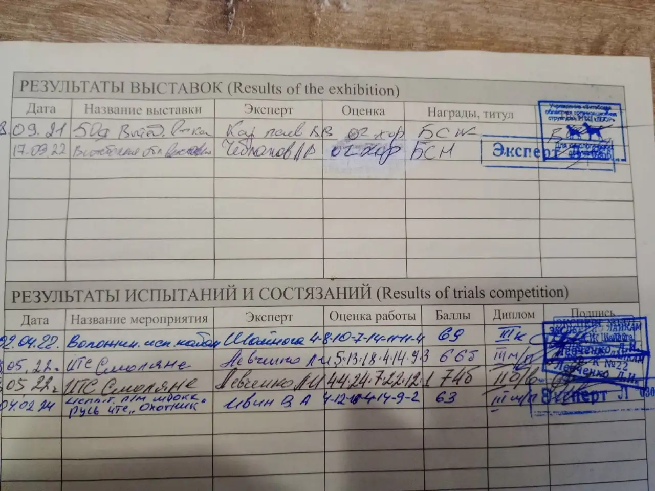 Продам щенков западно сибирской лайки, фотография 8