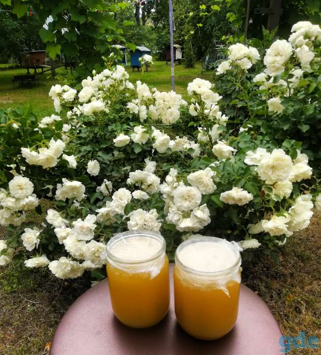 Продам мёд, фотография 1