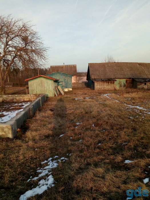 продам земельный участок, д.Румок, Узденский район, фотография 5