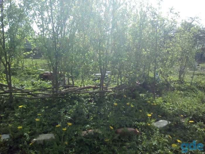 Дом под снос и участок 25 соток для строительства нового дома, фотография 4