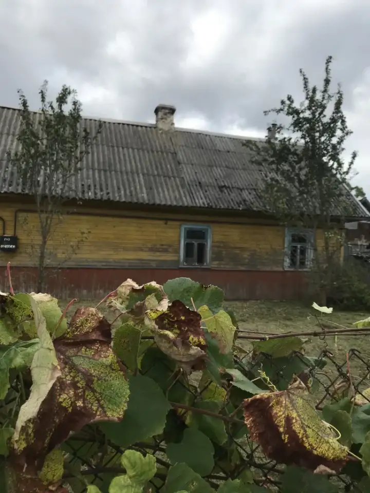 Продам дом в деревне, Брестская область, Березовский район, , фотография 1