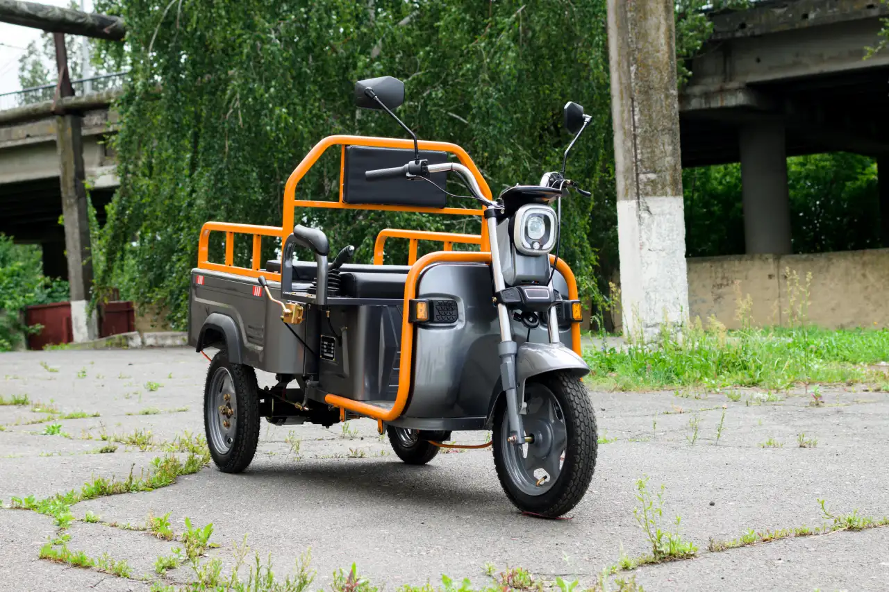 Электротрицикл AVM Cargo mini 800, фотография 2