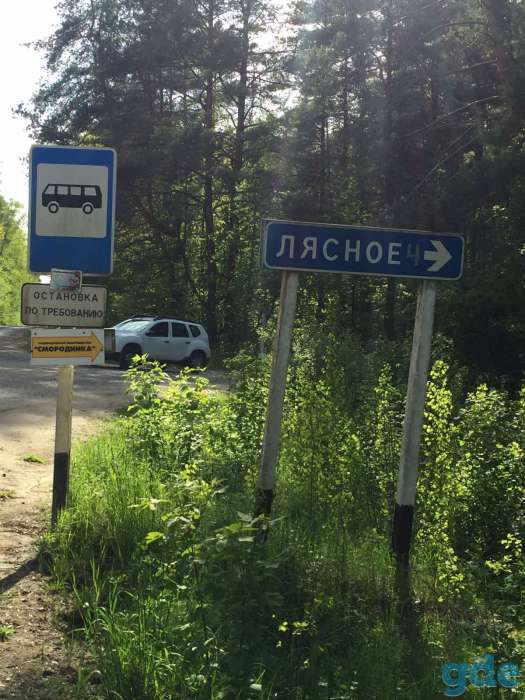 продажа садового участка, Лесное 4, фотография 5