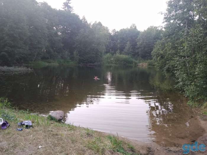 Продам дачу 27 км. от Минска, Мядельское направление, фотография 12