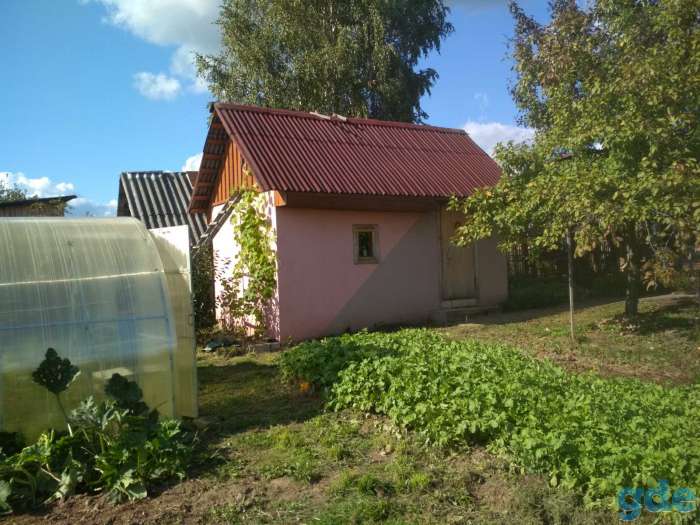 Дом, Шумилинский район, деревня гребница., фотография 5