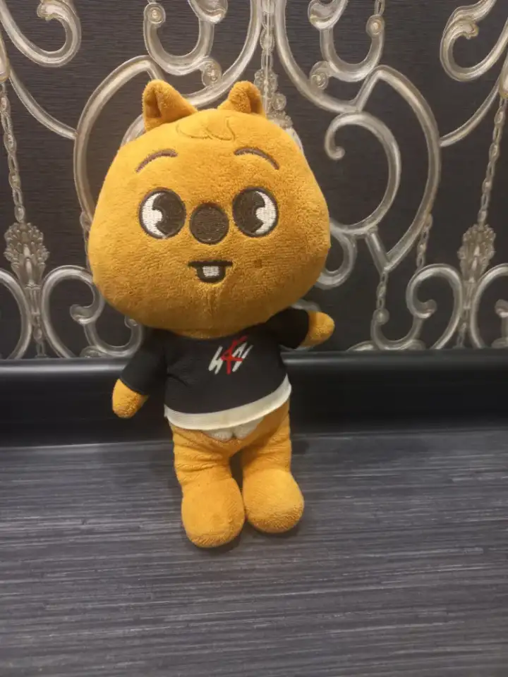 Продам мягкие игрушки Stray kids, фотография 3