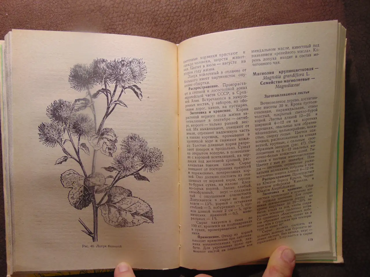 Заготовка дикорастущей продукции (пособие), издательство Ураджай, 1977 год, 240 страниц. Авторы: Коршиков Б. М., Митюков, фотография 6