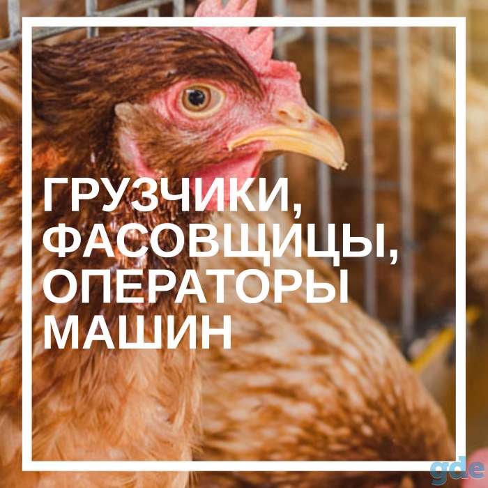 Требуются грузчики, фасовщицы, операторы машин, фотография 1