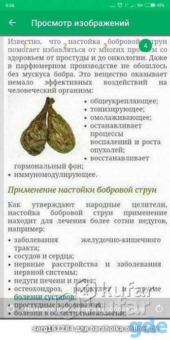 Бобровая струя, фотография 2
