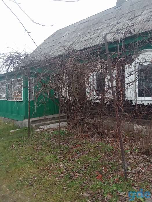 Дом, район, д. Щедрин, фотография 1