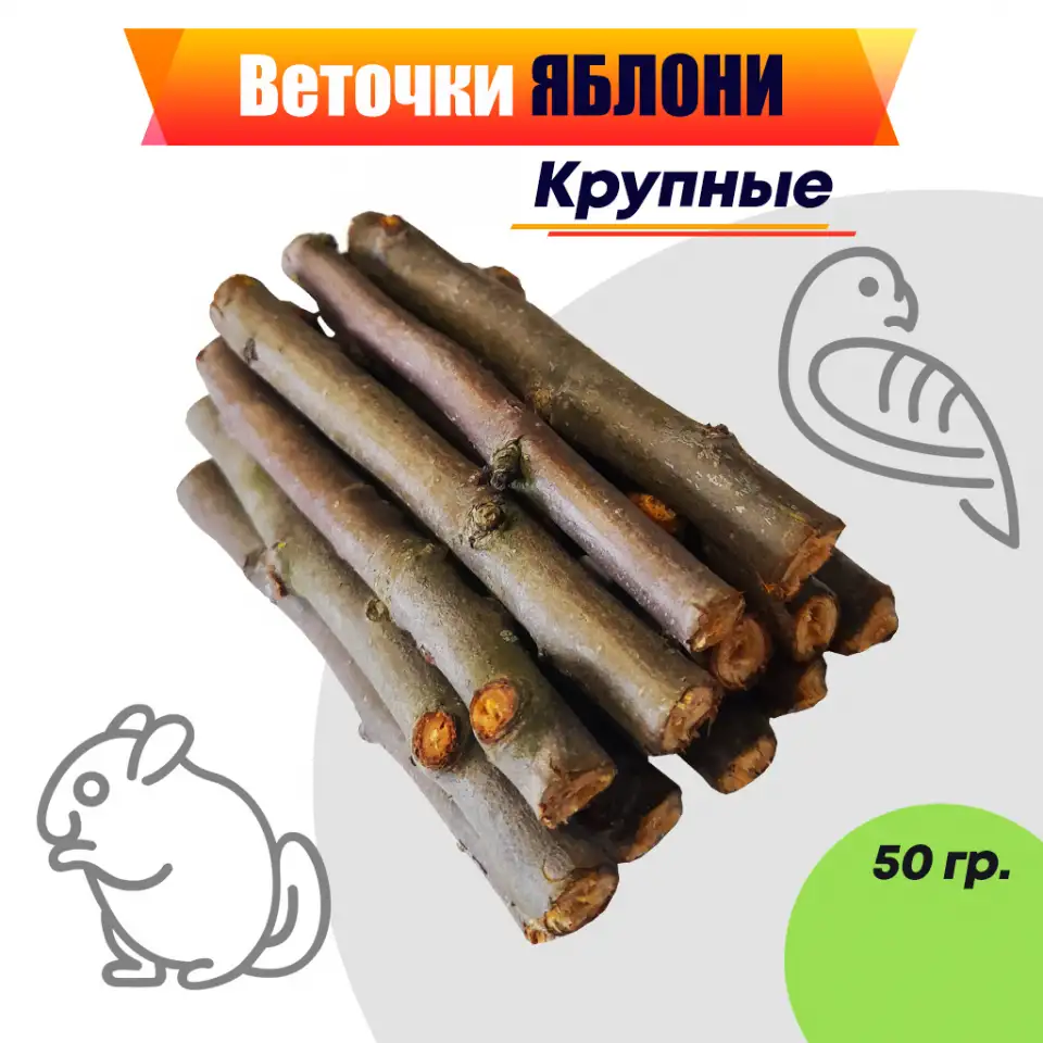 Веточки яблони для грызунов и птиц, фотография 1