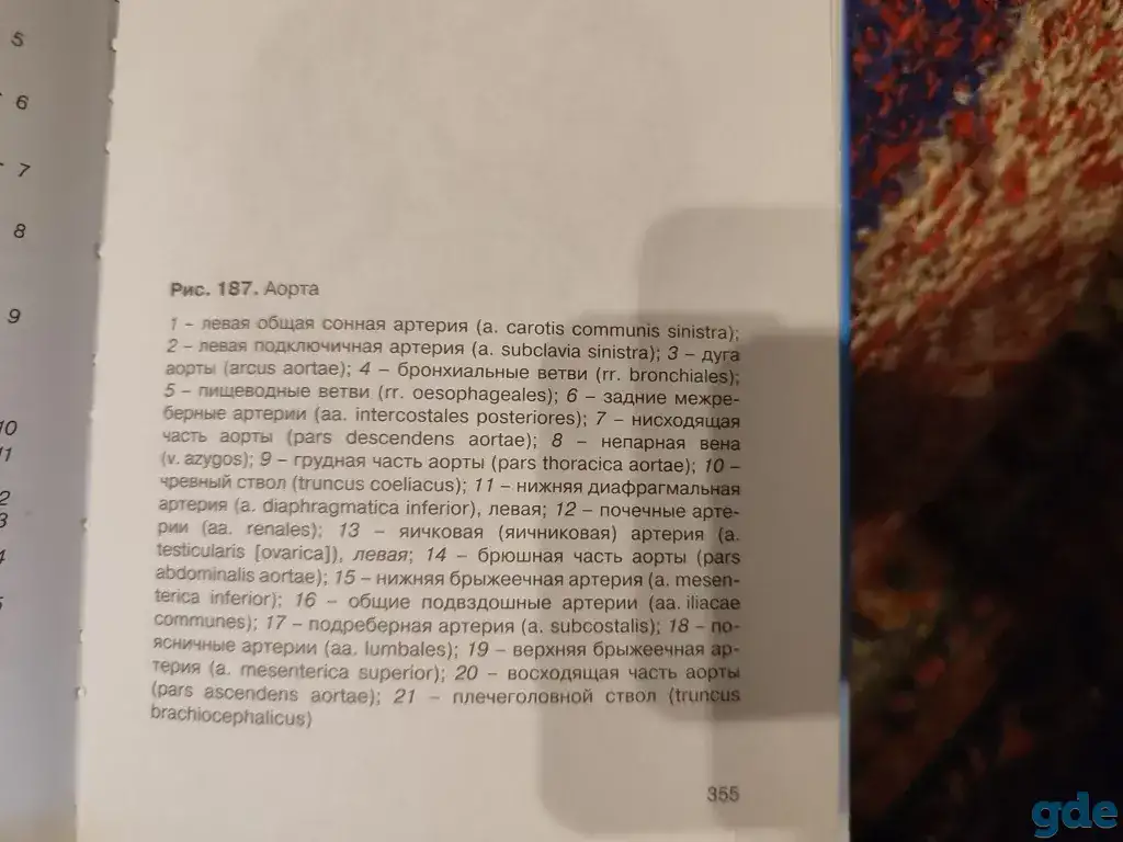 Учебник по анатомии и физиологии для медицинских вузов, фотография 5