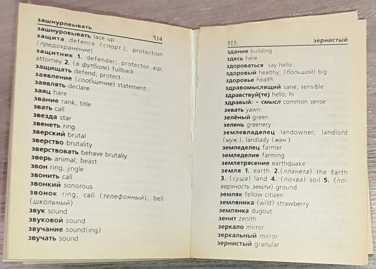 Ирина Лисовская, Илья Чернышев - Англо-русский и русско-английский словарь, фотография 8