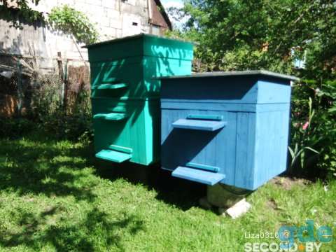Пчелиный улей., фотография 2