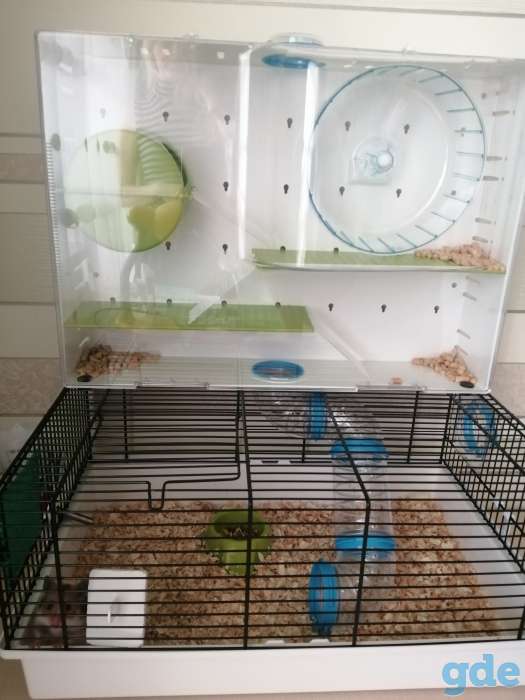 Продам хомяка с клеткой, фотография 5