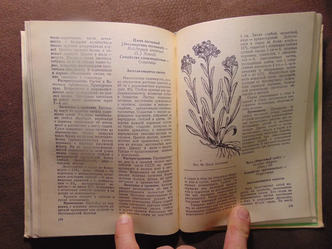 Заготовка дикорастущей продукции (пособие), издательство Ураджай, 1977 год, 240 страниц. Авторы: Коршиков Б. М., Митюков, фотография 5