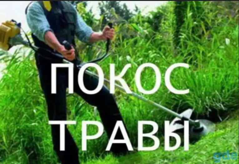Покос травы, бурьяна, фотография 1