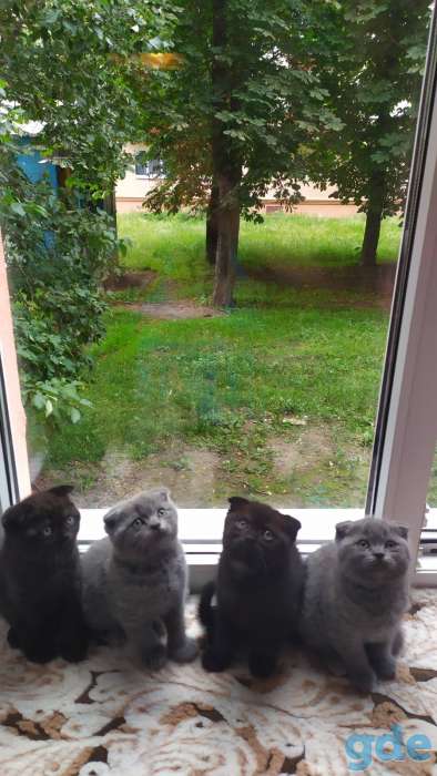 Продам, фотография 1
