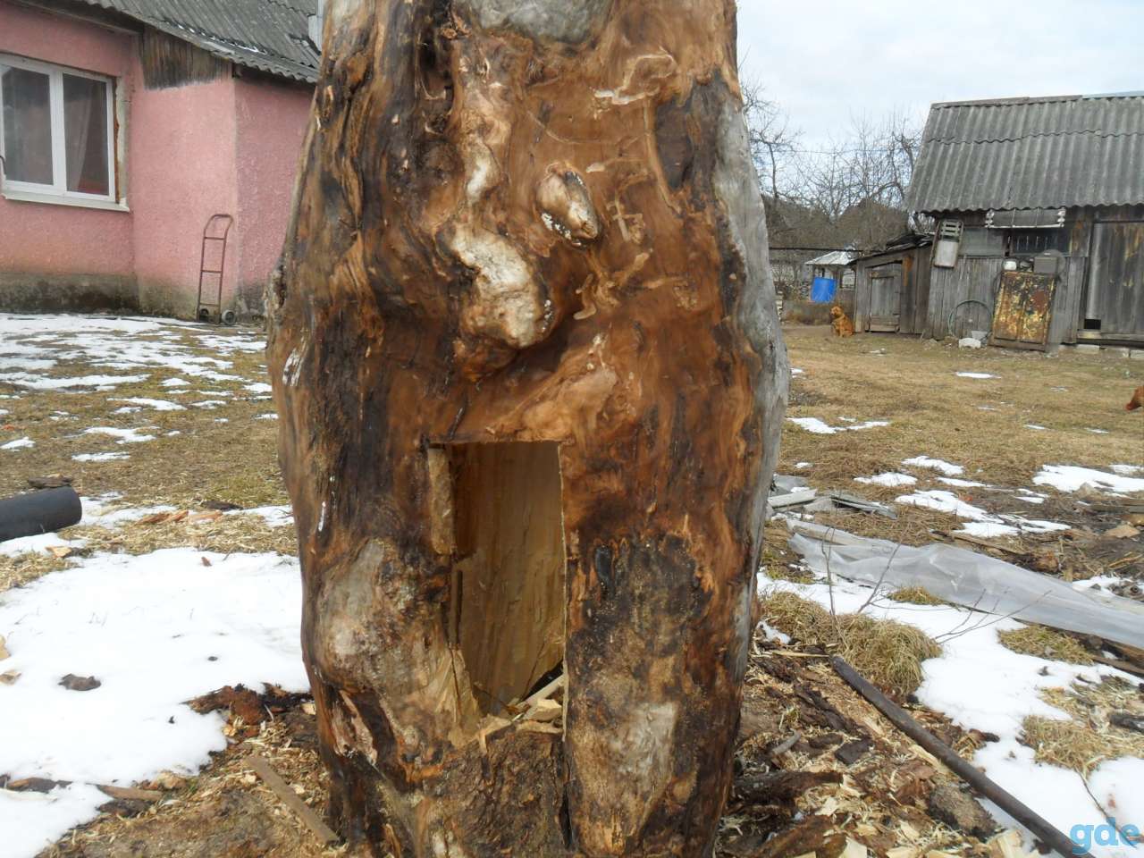 колода, фотография 1