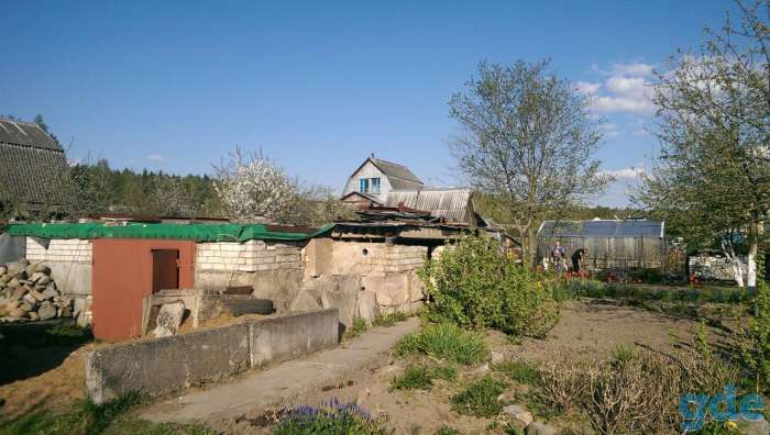 Срочно продается приватизированный садовый участок (5 соток)   30 км от г.Минска (около г.Раков) д. Бузуны., фотография 1