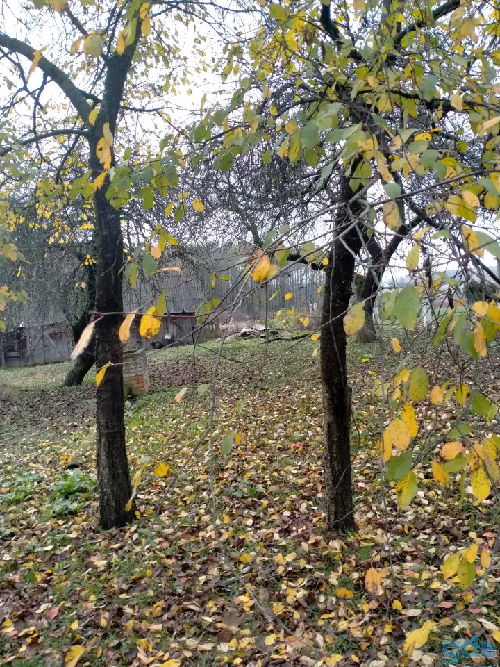 Срочно продам жилой дом, Гродненская область дятловский район д Денисова, фотография 6