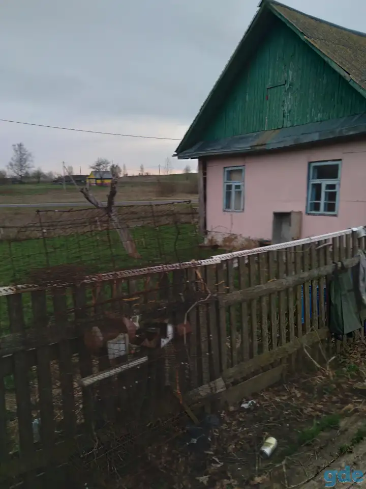 Дом, фотография 3