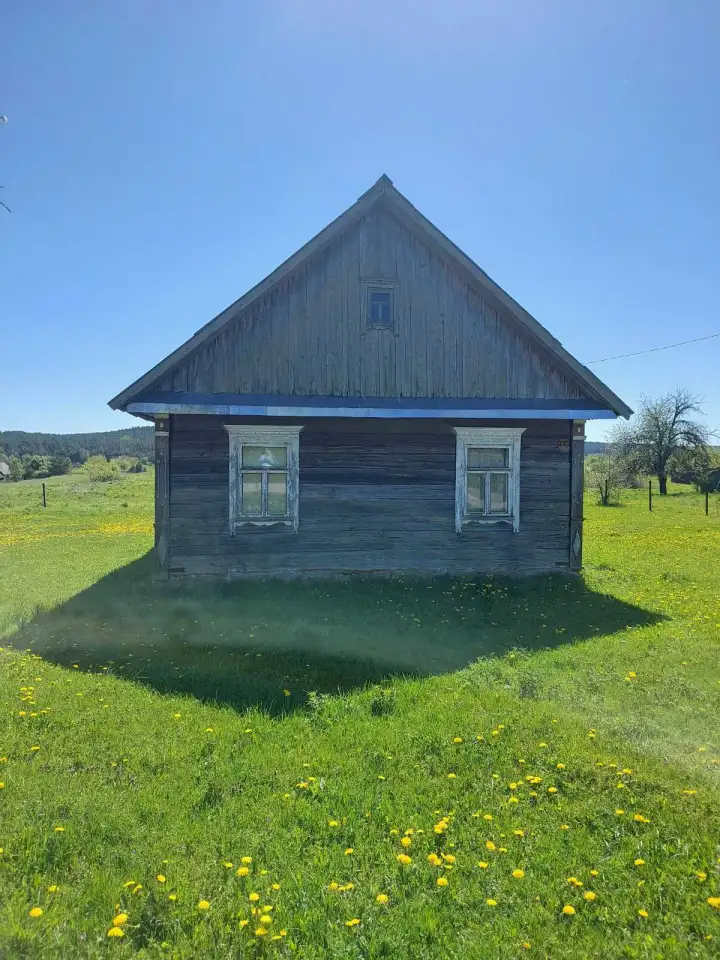 Продам дом д. Хорошевичи, фотография 6