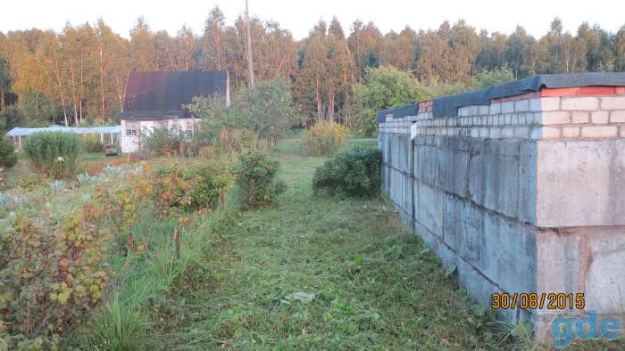 продаю дачу  с большим участком  прилегающий к водоему с лесным массивом, фотография 5