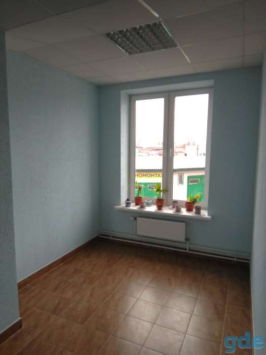 Комплекс 