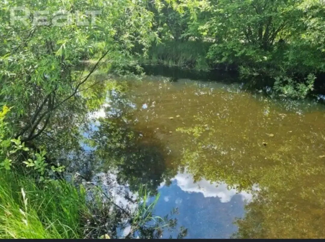 Дом, Деревня Головли, гроднен. Область, дятловский р-н, фотография 5