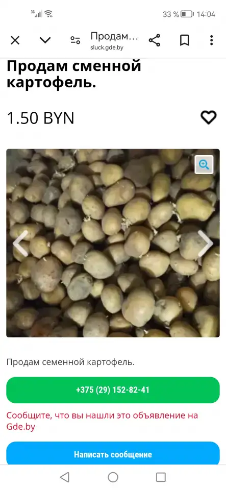 Продам сменной картофель., фотография 1