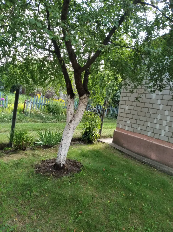 Продажа, СТ 