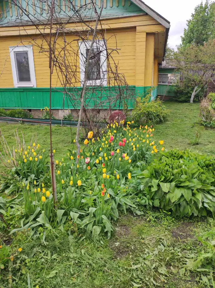 Продам дом, район д. Ермаковка, фотография 3