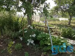 продажа дома, д.Анетово, ул.Липовая, дом 13, Минская обл., Пуховичский район, фотография 14